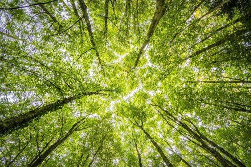 Rethinking Global Environmental Systems